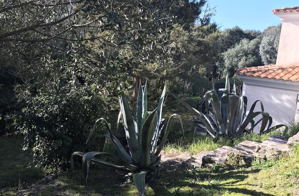 Residence Hoteliere A Trama Bonifacio  Kültér fotó