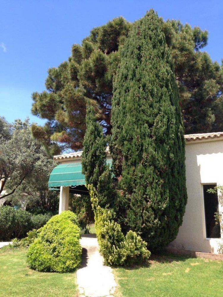 Residence Hoteliere A Trama Bonifacio  Kültér fotó